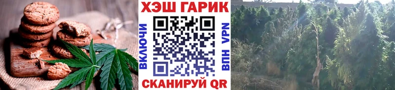 Еда ТГК марихуана  Новороссийск 