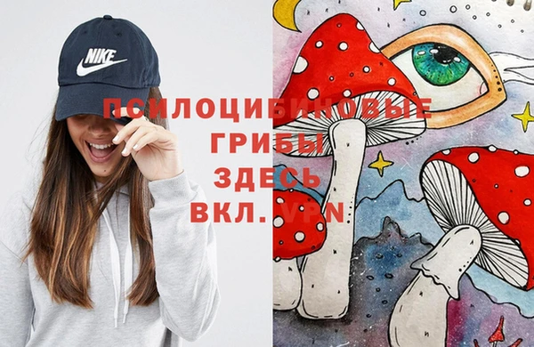 ГАЛЛЮЦИНОГЕННЫЕ ГРИБЫ Алексин