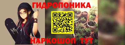 дживик Сланцы