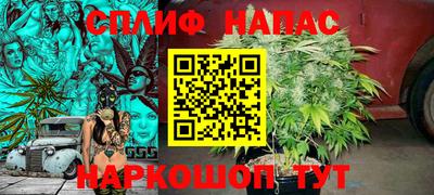 ГАЛЛЮЦИНОГЕННЫЕ ГРИБЫ Славгород