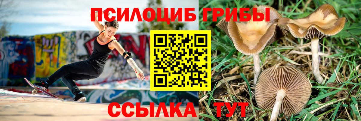 Меф МЯУ МЯУ   Новороссийск  ГАШ  Наркошоп  Вход с VPN  Бошки Шишки 