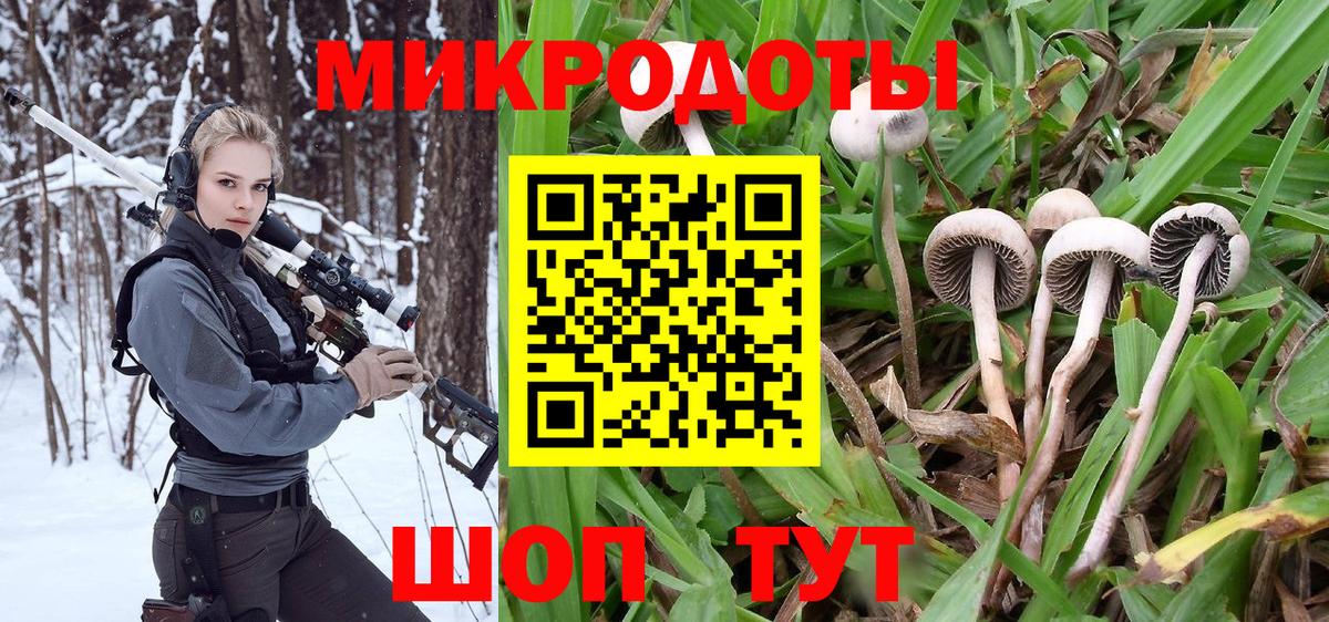 Псилоцибиновые грибы Cubensis  Вход с VPN  Новороссийск 