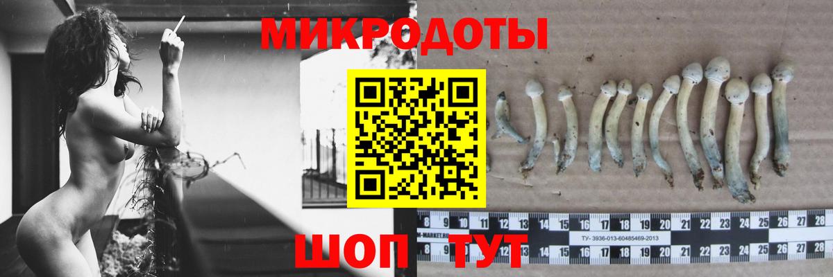 Псилоцибиновые грибы мицелий Новороссийск