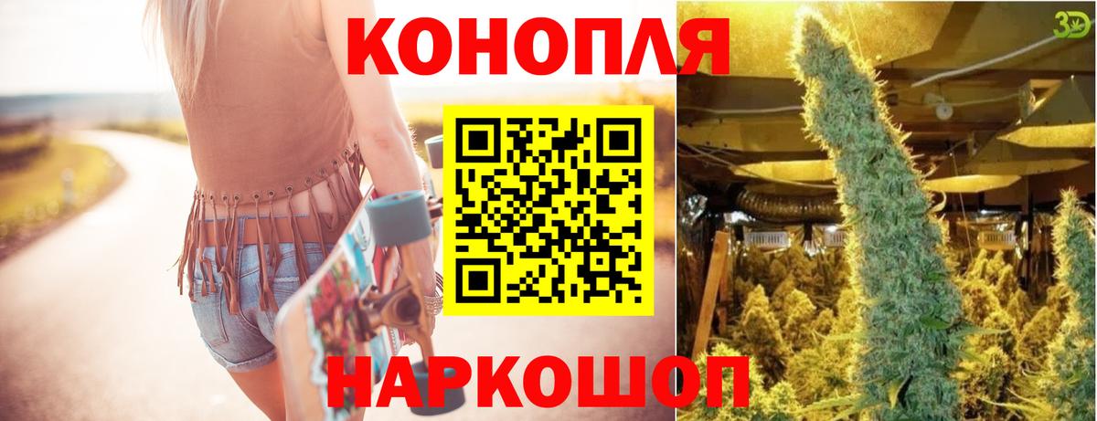 Конопля планчик Новороссийск
